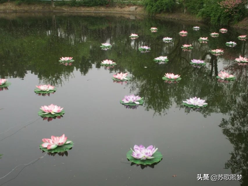 我和横店有个缘