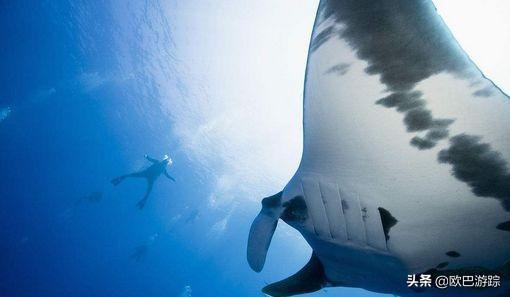 马尔代夫海底体验,马尔代夫海洋深度