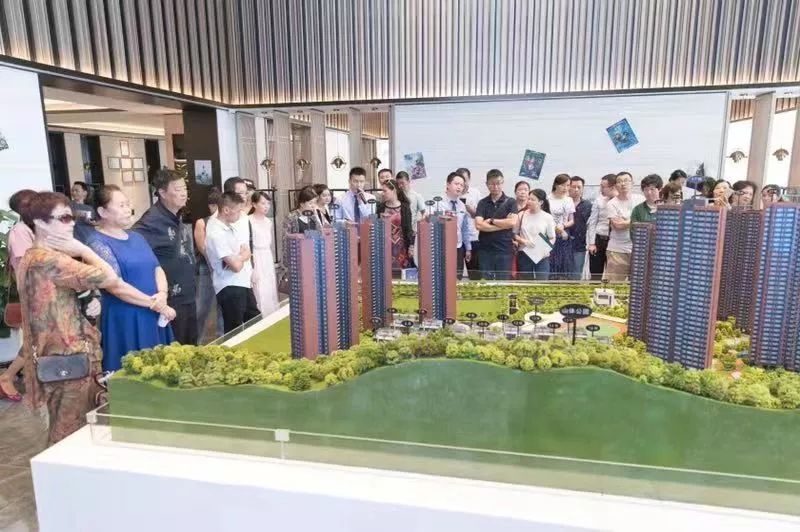 下一个“南山科技园”，谁有能力接棒？