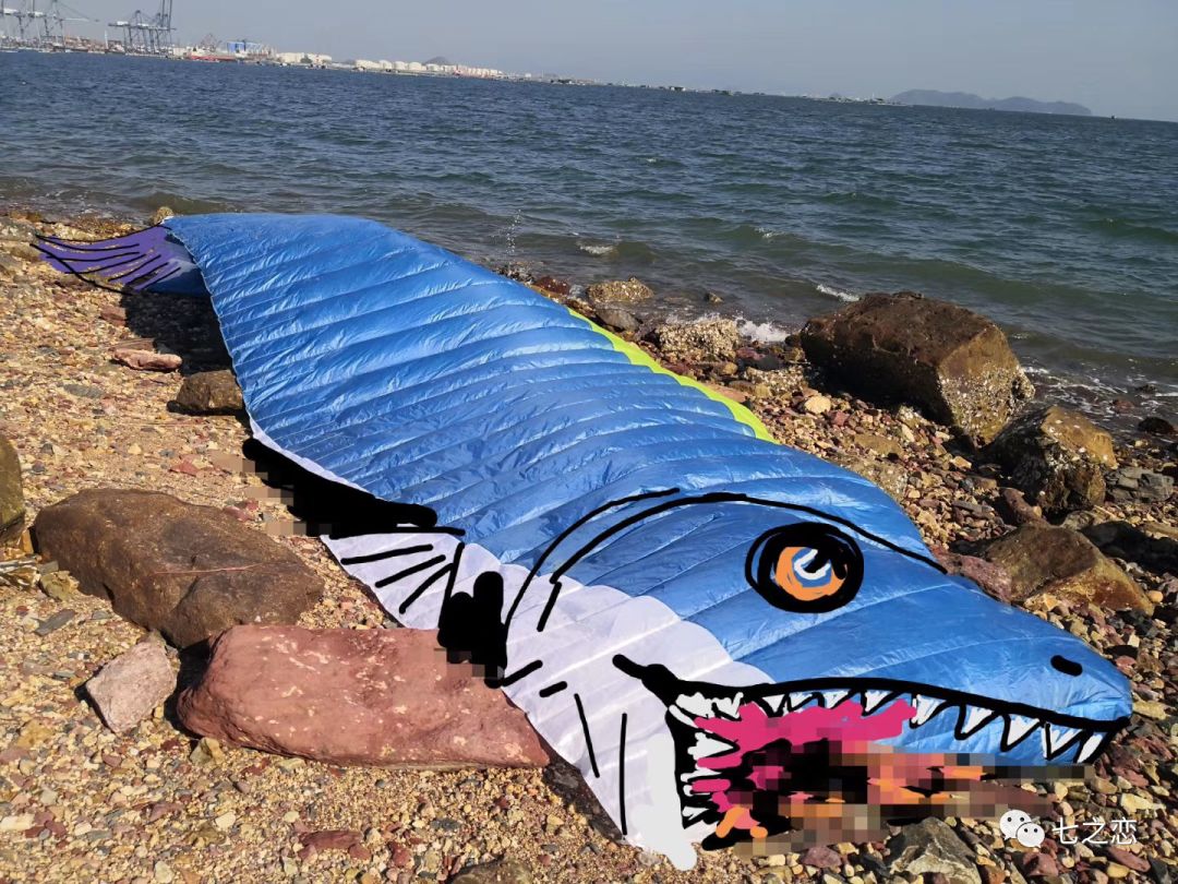 羽人的梦想与友情中国的Jetman涡喷飞翼初次试飞现场见证