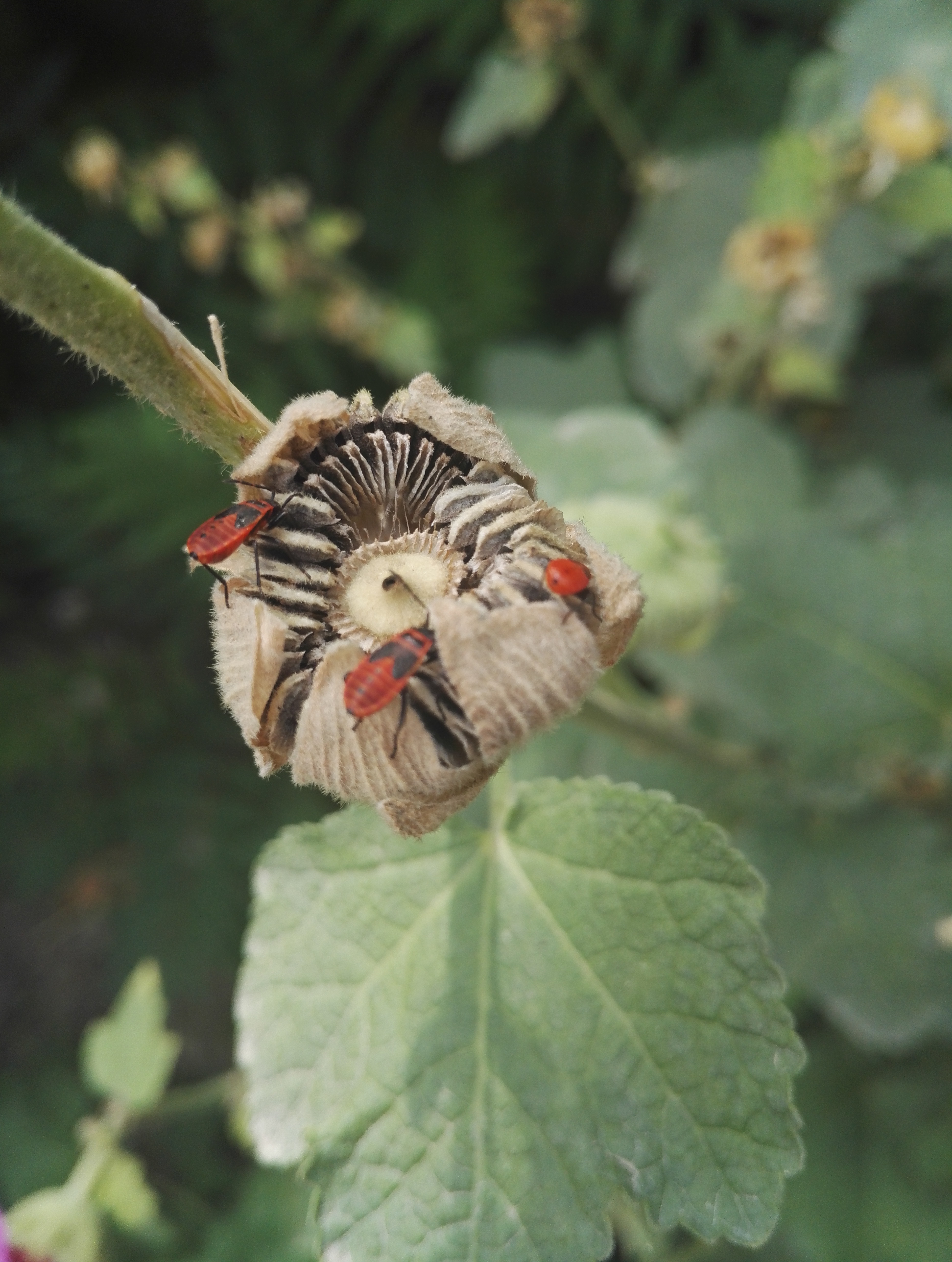 童书出版妈妈幸福教师培训感想