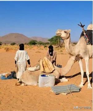 沙盘推演沙漠掘金,广州领导力培训班哪个好