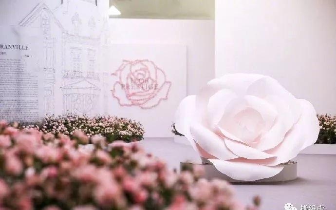 dior洗眼效果,dior必须洗眼吗