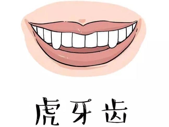 为什么人会长牙,为什么会有人长兔牙