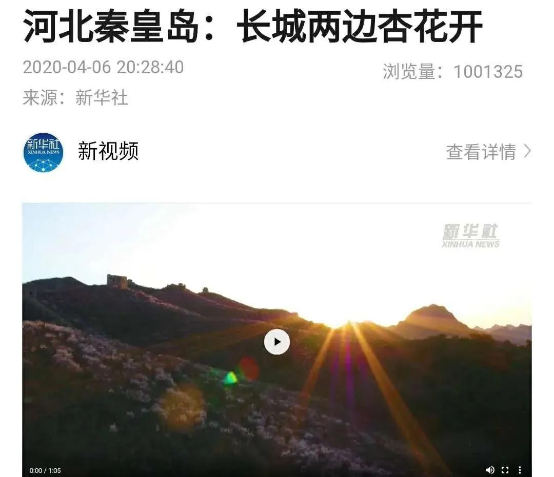 又是一年春光好完整版,又是一年春光好文明旅游