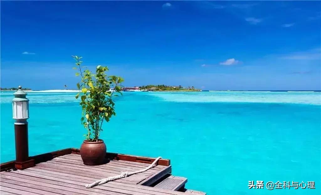 日久见人心岁月识人品全文,日久见人心岁月识人品文案