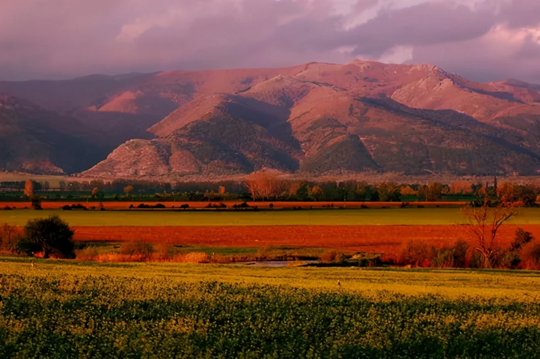鍥藉淇濆姞鍒╀簹,淇濆姞鍒╀簹鐜懓鏁呬簨