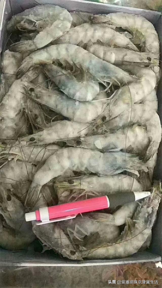 魂牵梦绕的绿色净土，真的美翻了，东戴河德福缘农家院