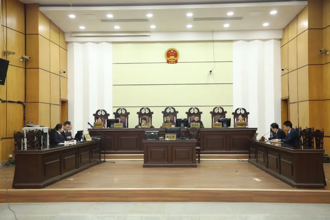 检察院典型公益诉讼案例修改意见,公益诉讼最高检指导案例第八批