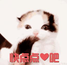 化妆师必买的美妆产品,美妆新手入门需要哪些化妆品