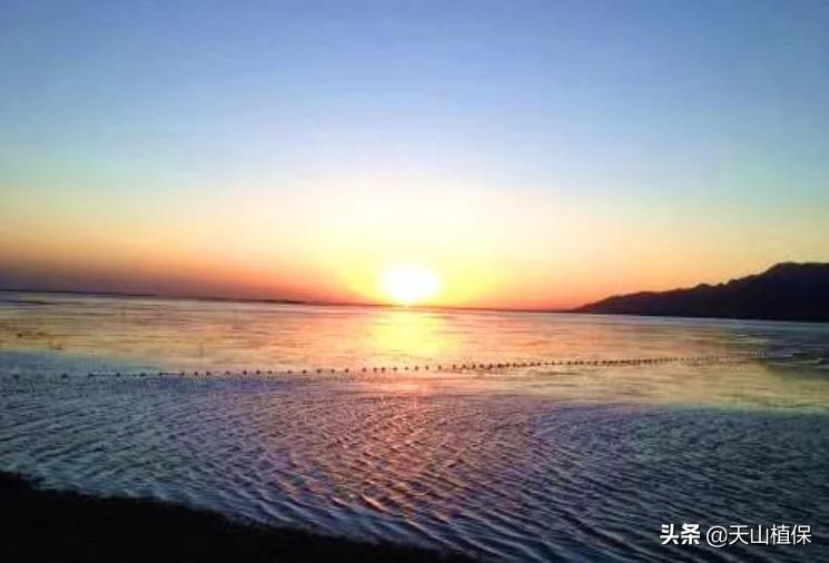 伽师县发展,伽师发展