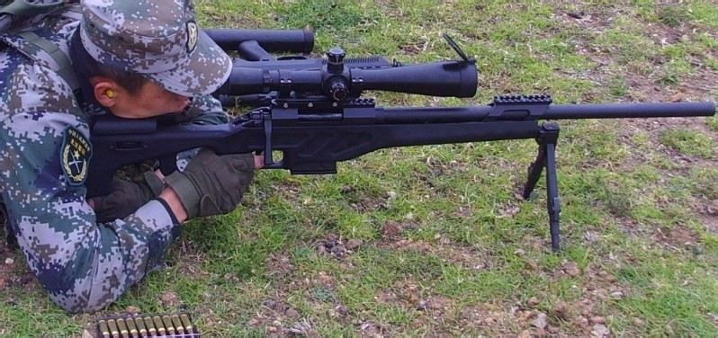 国产十大冷门狙击枪,国产高精狙cs-lr13