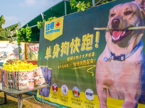 单身汪的逆袭,单身汪实力