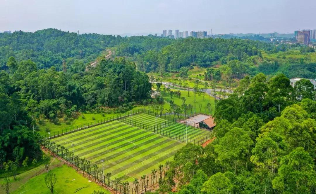 庆祝新中国成立70周年新闻报道,庆祝新中国成立70周年特辑宣讲