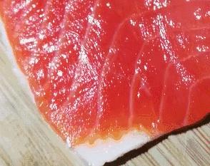 为什么瑞典人不吃挪威产的三文鱼?