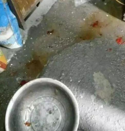 养狗的正确方法和建议,关于养狗的基本知识和方法