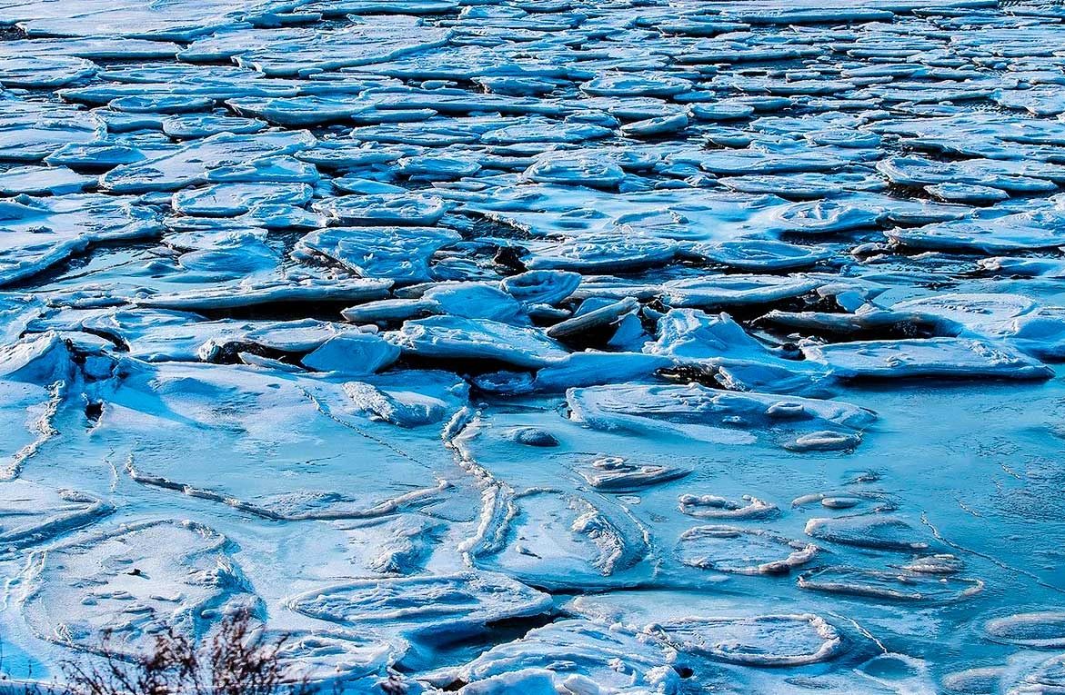 冬季的庭院景观,美丽如画的自然景观让人心旷神怡