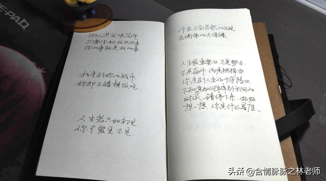 像钢笔一样的毛笔怎么选,顾建平老师教你如何挑选毛笔