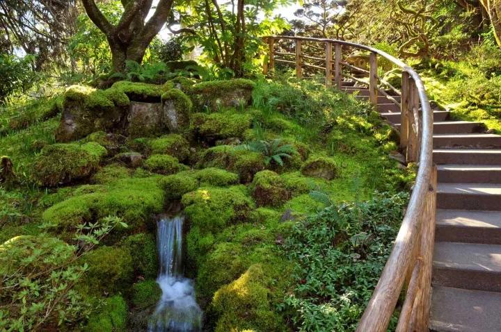 布查德花园的秋冬季,全球最美花园布查特花园