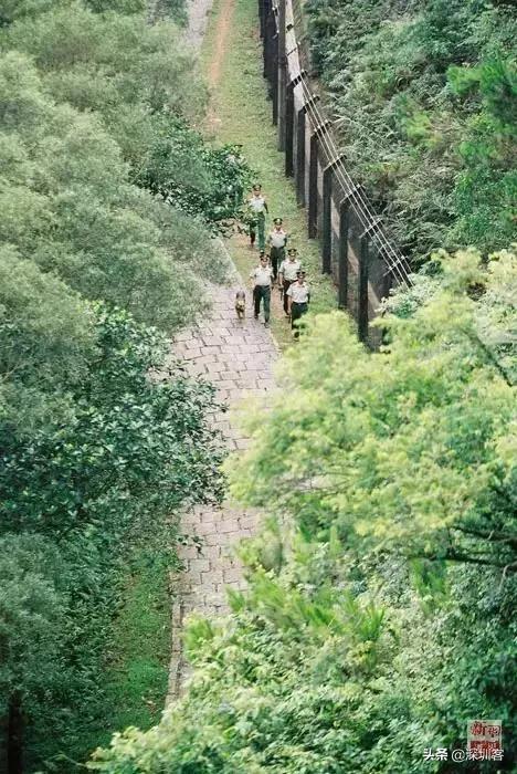 特区40年后的发展,特区四十年改革路