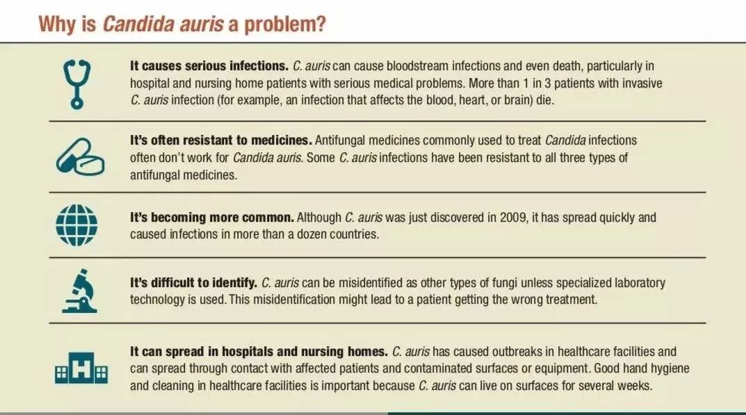 冀连梅|解读“致死率60%的超级真菌”是怎么一回事儿