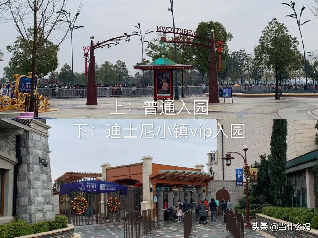 带宝宝去上海迪士尼，要不要多花上千元买vip？看看我的建议