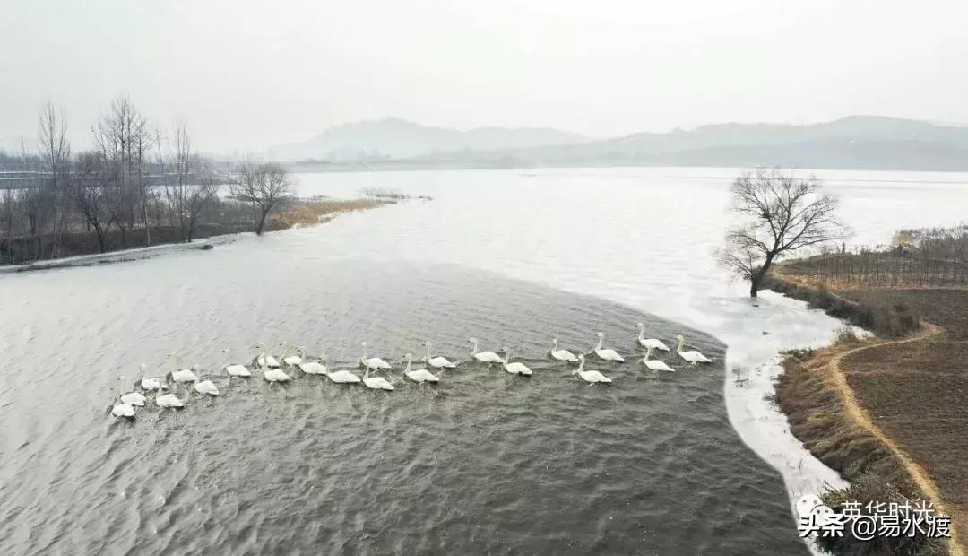 易县好看的视频,易县哪儿的好看