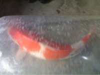 开渔场赚钱吗,开渔场需要多少资金