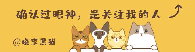 猫咪能看到鬼吗,猫咪能看到灵异东西吗