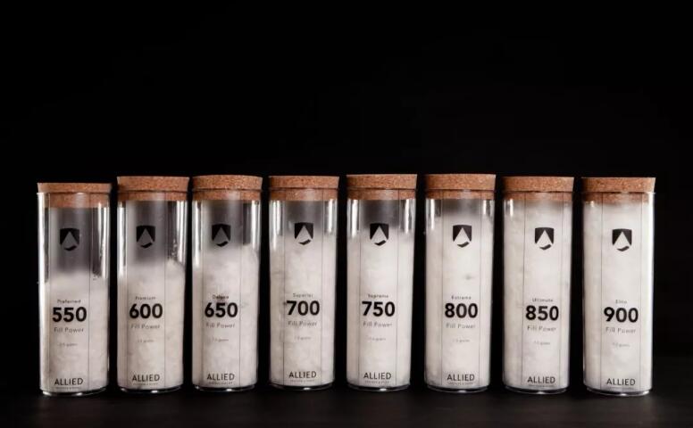 都说鹅绒贵为什么售价比鸭绒便宜,加拿大鹅和蒙克羽绒服哪件比较好