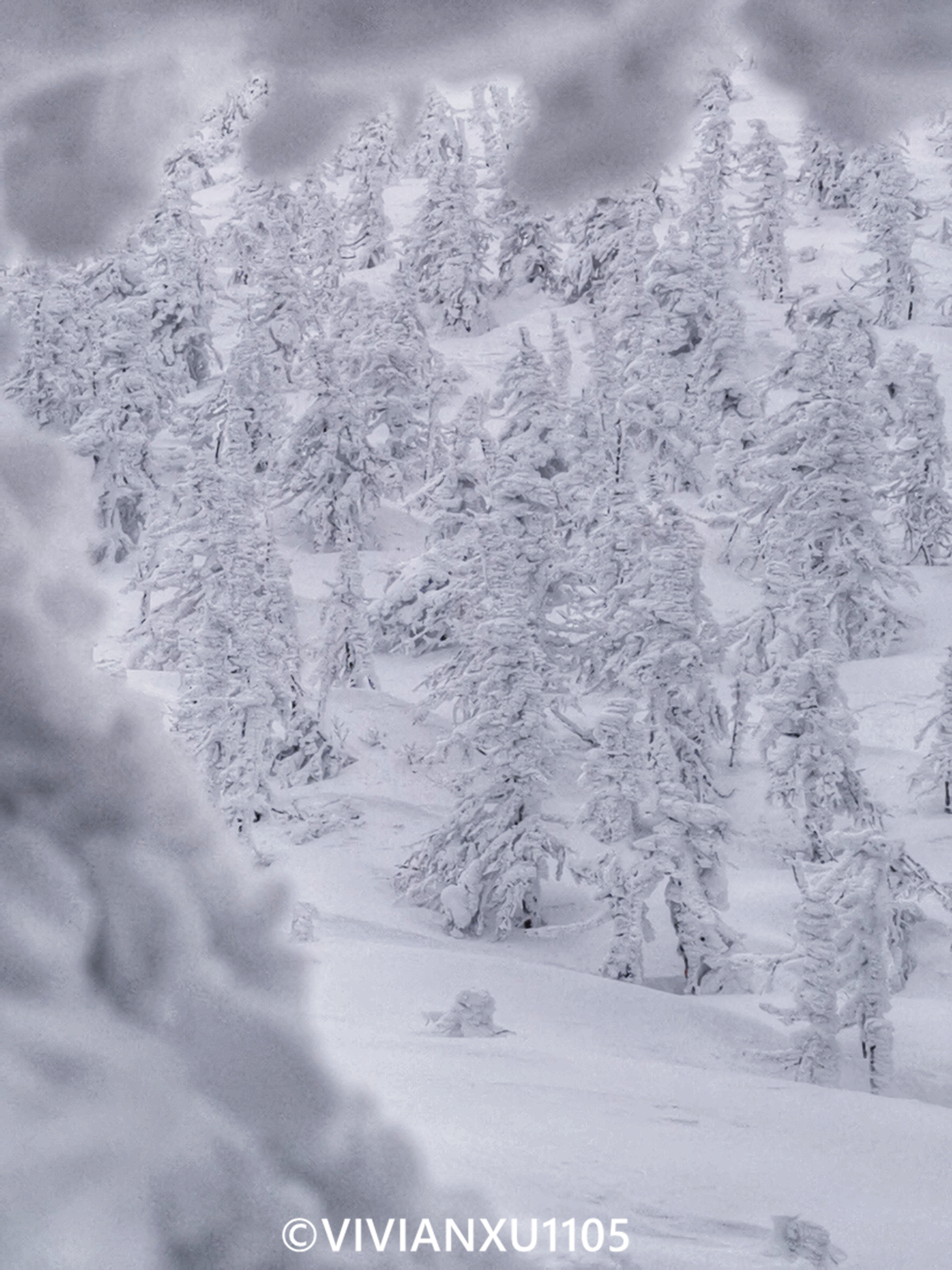塑料母女日本东北深度游（秋田山形）