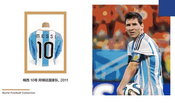 南美解放者杯决赛,南美解放者杯赛场