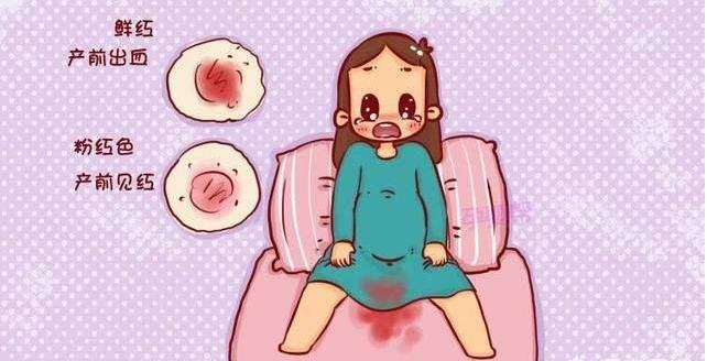 怀孕了流血褐色分泌物肚子有点疼,保胎不流血后一周又有褐色分泌物