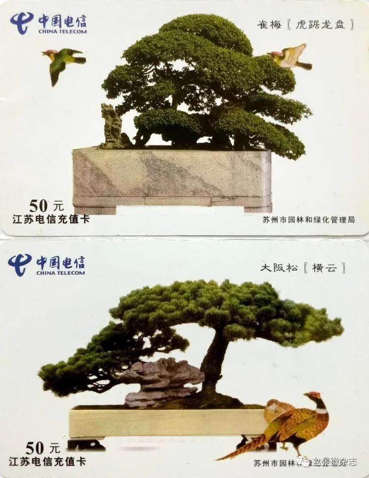 鐩嗘櫙鑱旂郴鐢佃瘽,鐩嗘櫙鑱旂郴鐢佃瘽鍙风爜