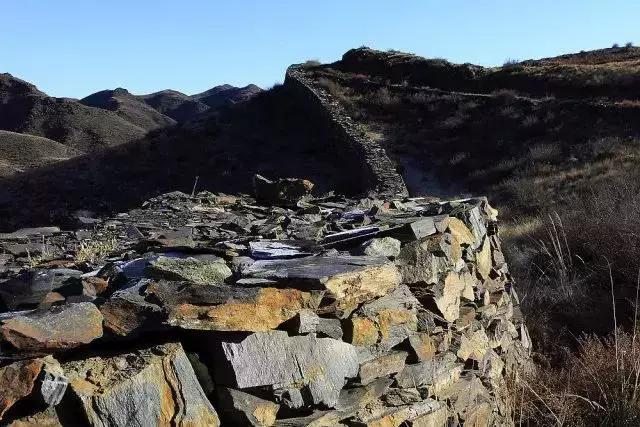 牛原本个人资料,内蒙古牛能有多大