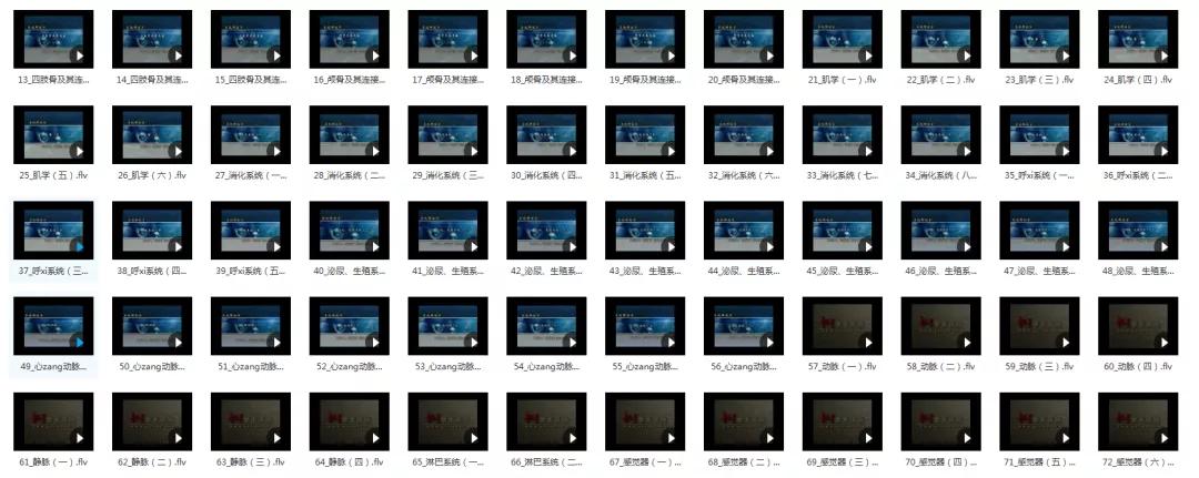 210G解剖学视频，包含系统、断层、运动、人体和局部解剖学