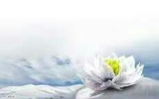 一朝春满暗香来——月溶溶《月华水光》词集