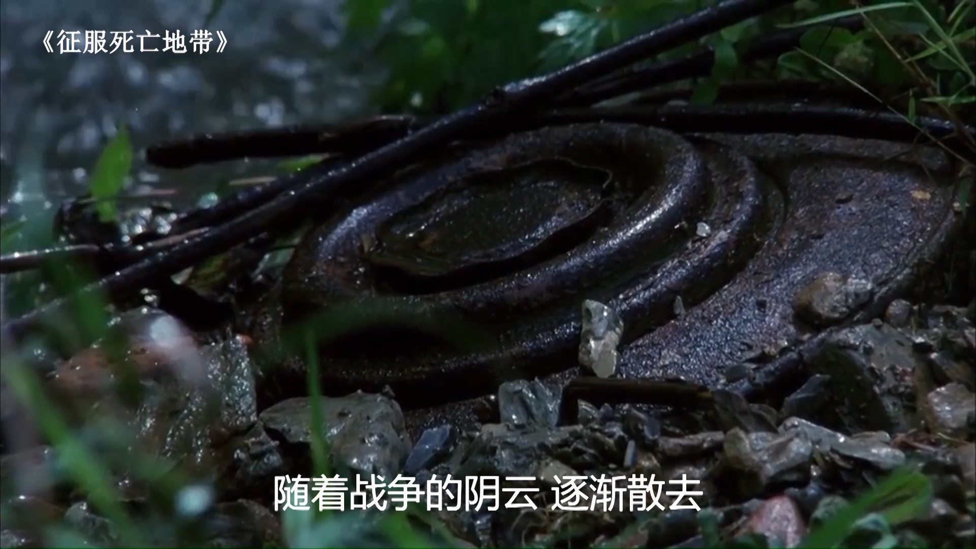 中越边境遍地地雷,震惊世界的中越边境雷区