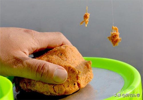 用尾巴钓鲨鱼你的鱼饵真独特,用尾巴钓鱼的感受