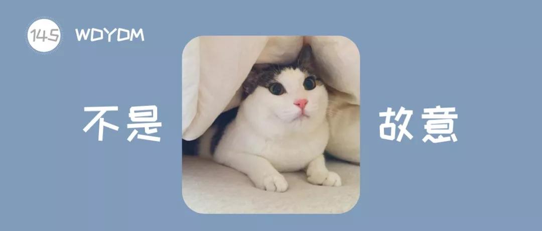 猫咪为什么在房间里乱尿,猫咪被其他猫欺负会乱尿吗