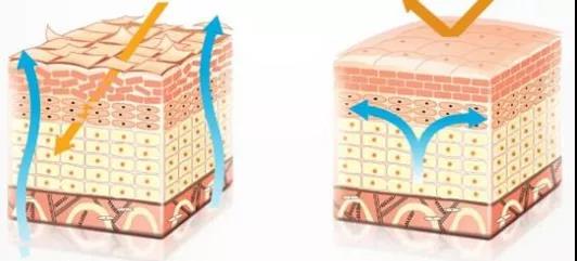 公主家护肤品28天改善你的肌肤,公主家护肤品全套加眼霜