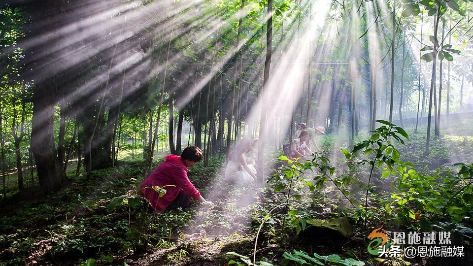 李伦英：用镜头记录家乡的美丽
