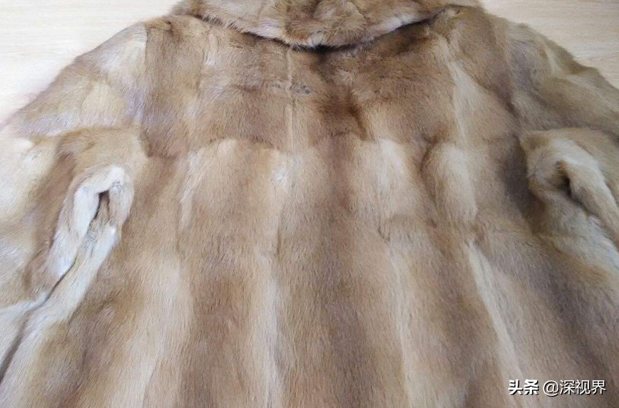 黄鼠狼为什么不能养,人工养殖黄鼠狼