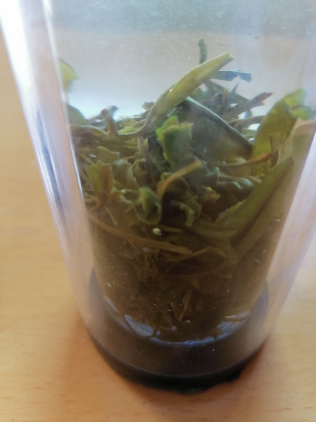 家用电锅可以炒茶吗怎么炒,用电饭锅炒茶叶可以吗视频