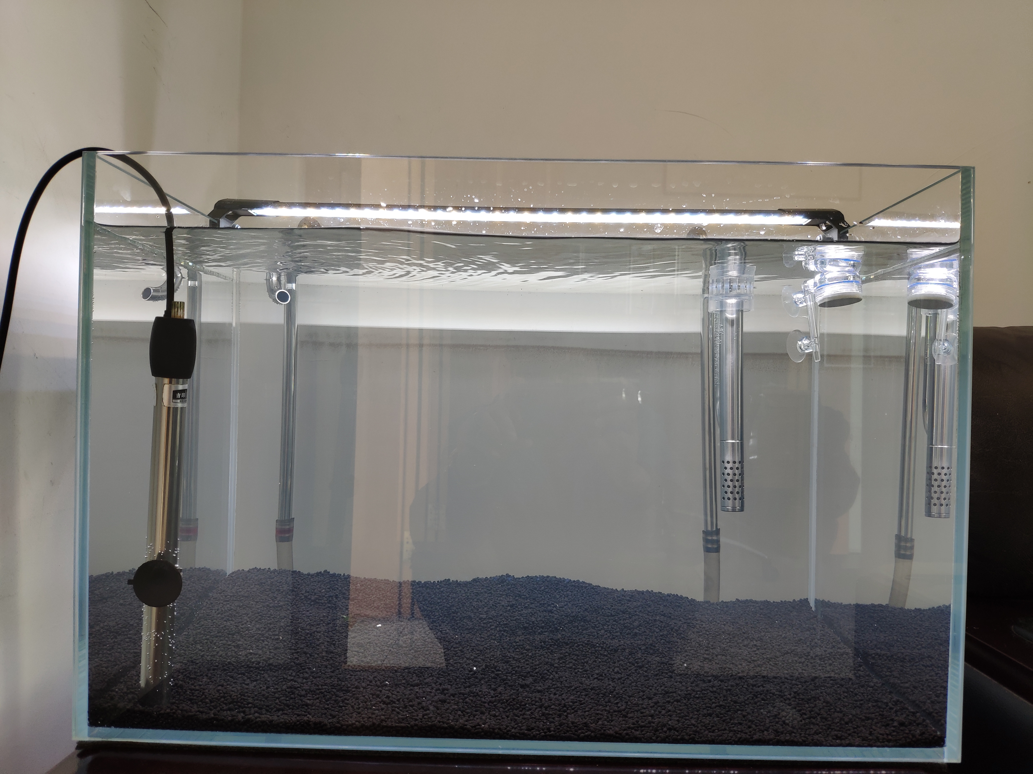 新手养鱼怎么入手？350元，开启养鱼之旅，新手小白开缸记