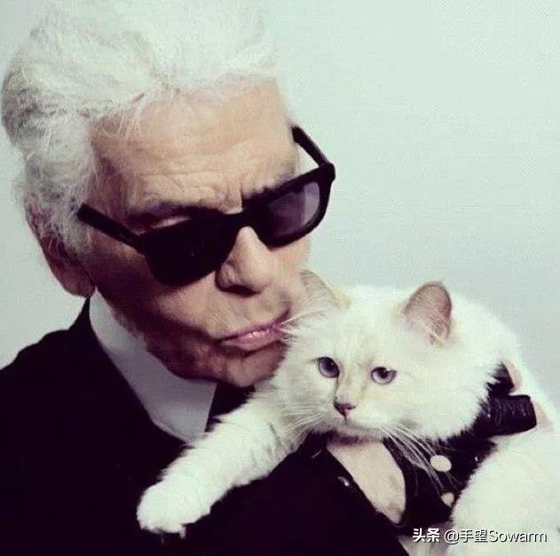 为时尚界奉献了70年的香奈儿凯撒大帝遗产竟只留给猫?