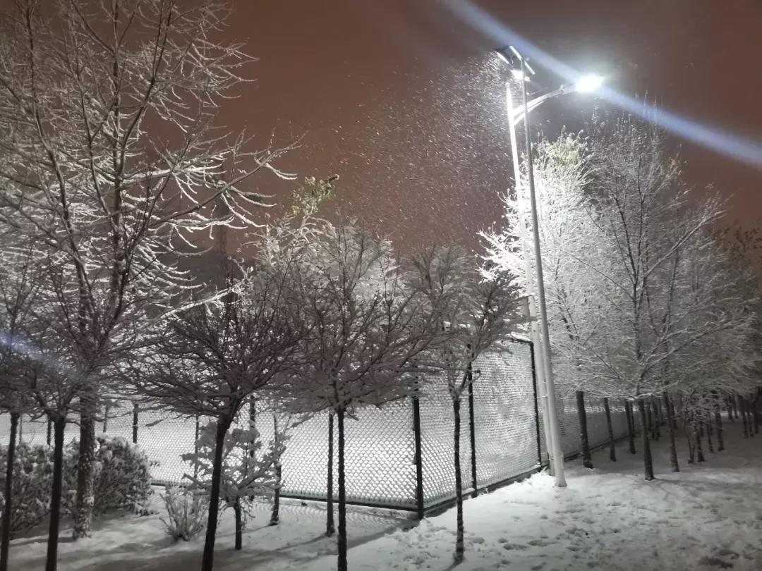 辽宁中医药大学杏林学院有独卫吗,辽宁中医药大学杏林学院属于3+2吗