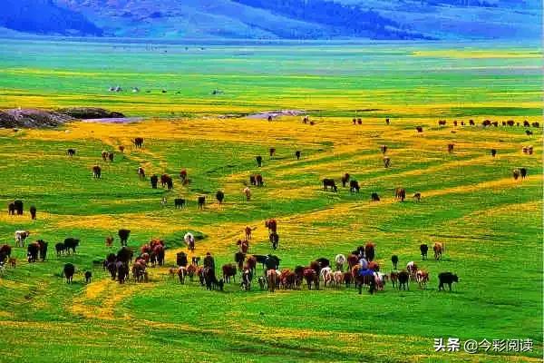 中国各地特产一览表（建议收藏） (中国各地适合送礼特产一览表)