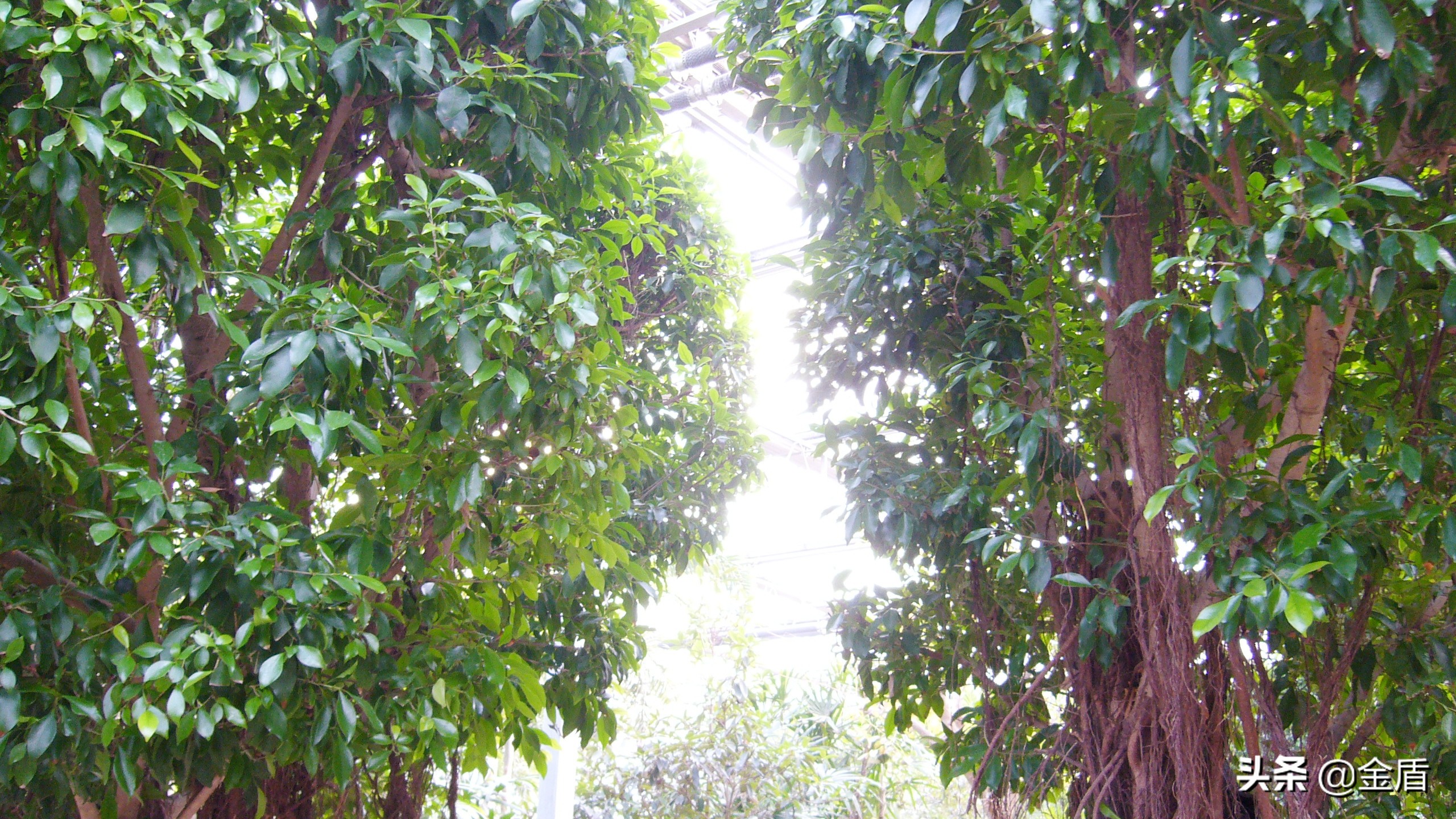 九天休闲谷俯视图,九天休闲谷适合春天去吗