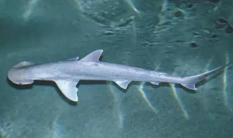 孩子是谁的不知道,孩子是谁的都没查出来